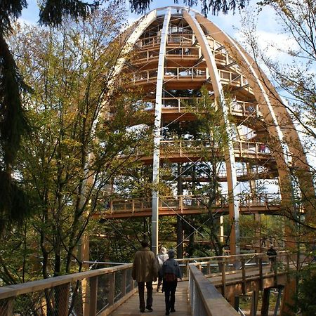 Haus Beate, Fewo Im Bienenparadies Kirchberg  Exteriör bild