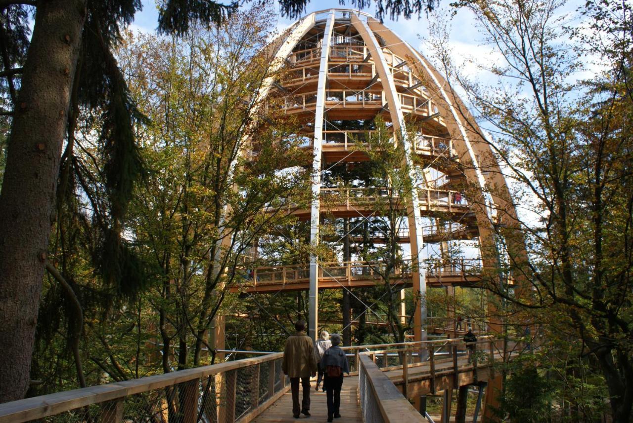 Haus Beate, Fewo Im Bienenparadies Kirchberg  Exteriör bild