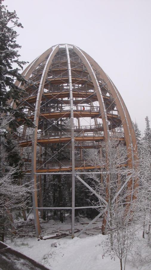 Haus Beate, Fewo Im Bienenparadies Kirchberg  Exteriör bild